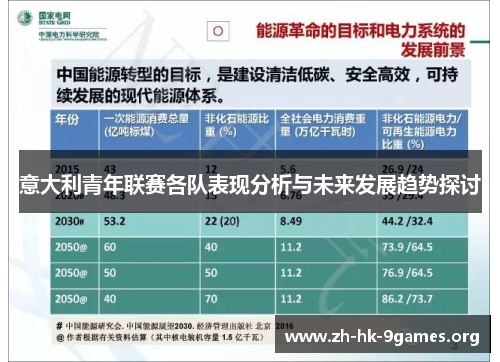 意大利青年联赛各队表现分析与未来发展趋势探讨