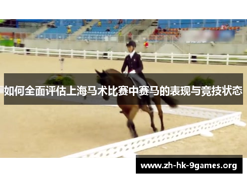 如何全面评估上海马术比赛中赛马的表现与竞技状态