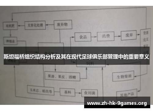 斯坦福桥组织结构分析及其在现代足球俱乐部管理中的重要意义
